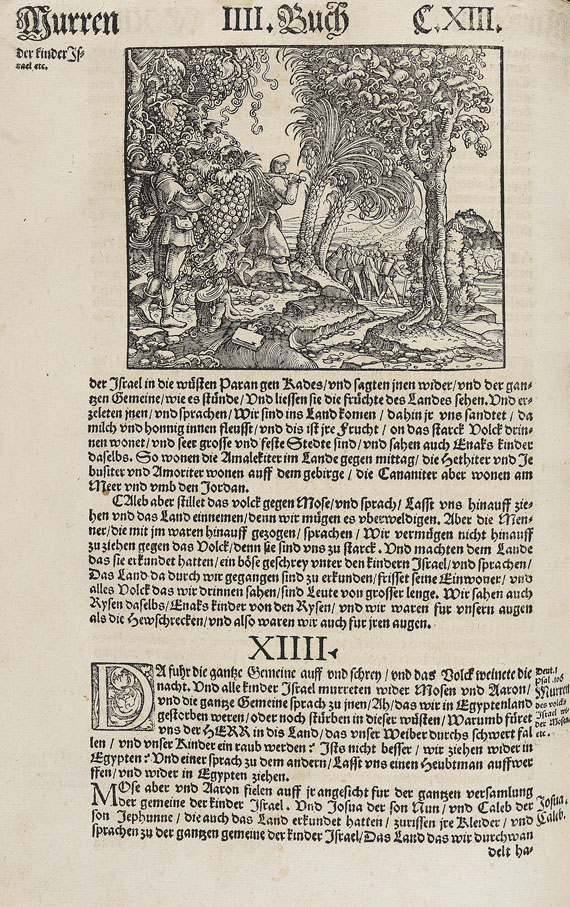   - Biblia, deutsch. 1550 und 1551.