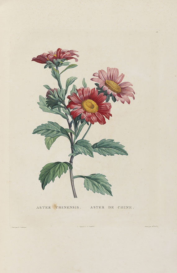 Jean-Jacques Rousseau - La botanique, 1805. - 