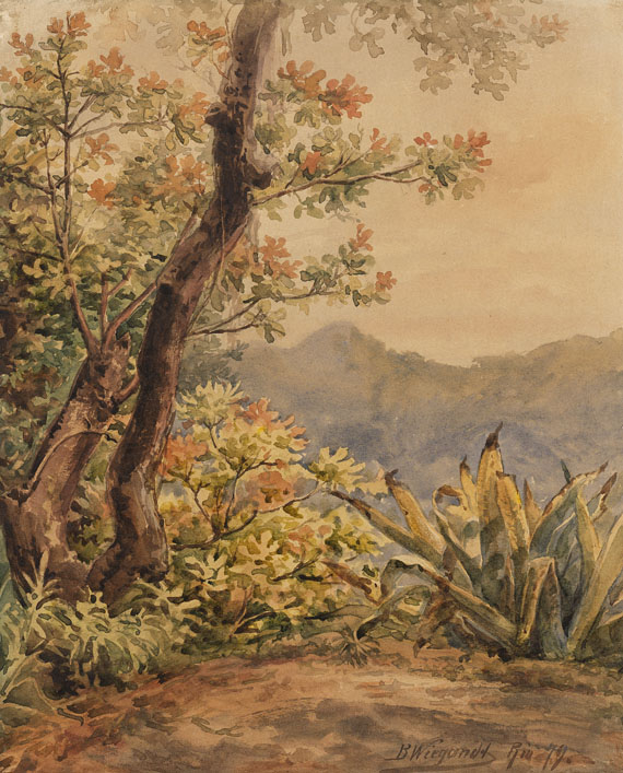 Bernhard Wiegandt - Brasilianische Landschaft mit Agave