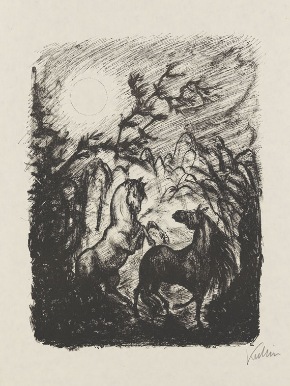 Alfred Kubin - Ali, der Schimmelhengst. Schicksale eines Tatarenpferdes - 