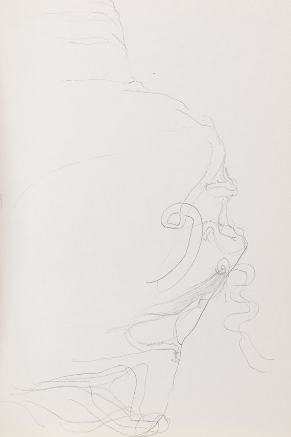 Joseph Beuys - Zeichnungen zu "Codices Madrid" von Leonardo da Vinci - 