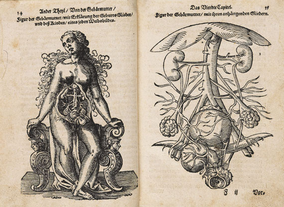 Johann Hildebrand - Nutzliche Underweisung fuer die Hebammen. 1601.