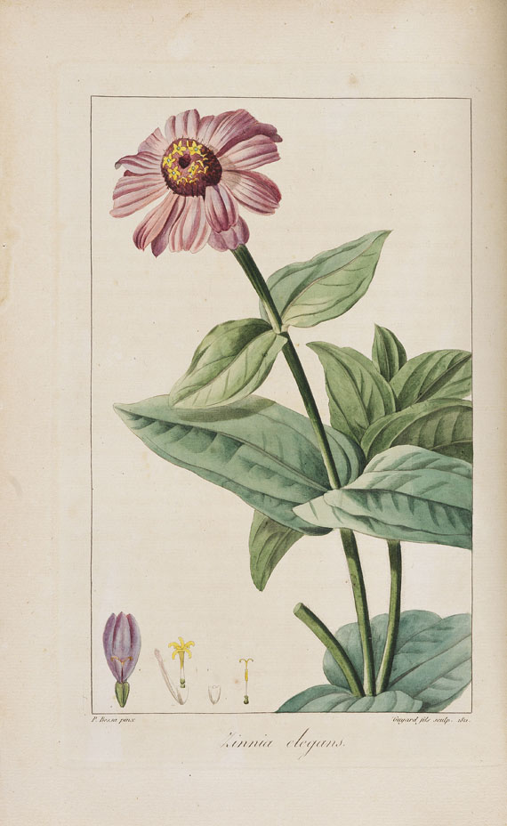 J. C. M. Mordant de Launay - Herbier général de l´amateur. 8 Bde. 1816-1827. - 