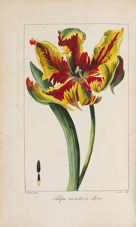 J. C. M. Mordant de Launay - Herbier général de l´amateur. 8 Bde. 1816-1827. - 