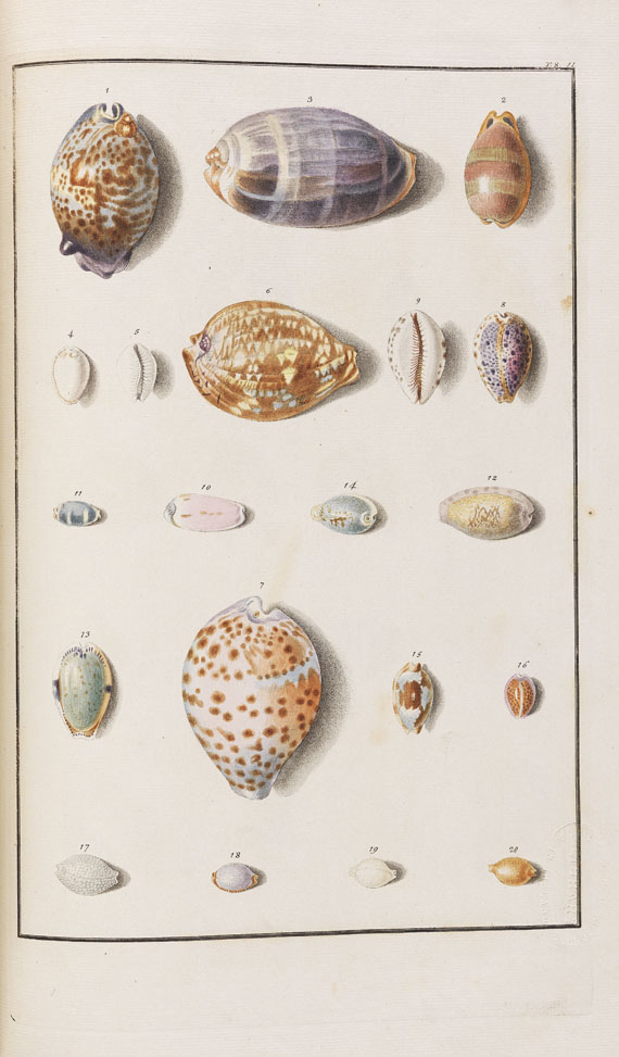 Ignaz Edler von Born - Testacea Musei. 1780. - 