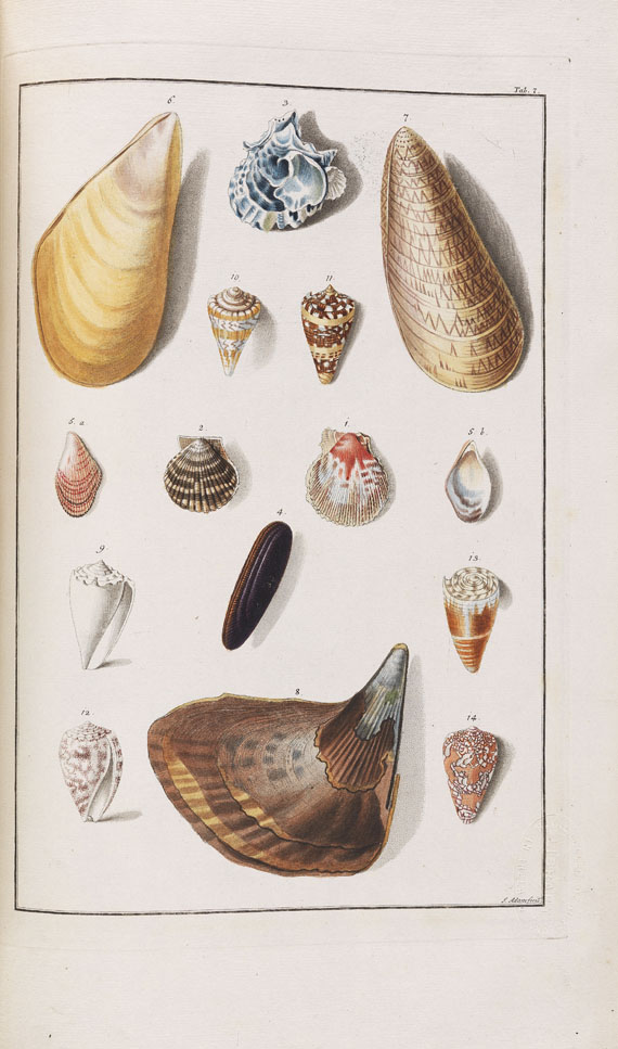 Ignaz Edler von Born - Testacea Musei. 1780. - 