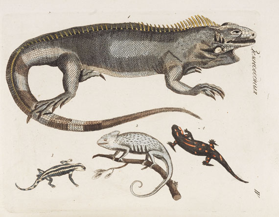 Friedrich Johann Justin Bertuch - Museum des enfans. 1815-17. 2 Bde. - 