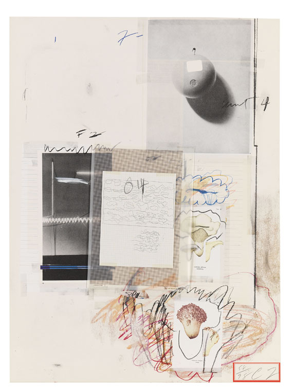 Cy Twombly - Natural History Part I, Mushrooms - 