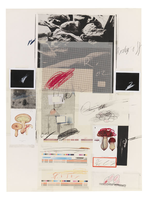 Cy Twombly - Natural History Part I, Mushrooms - 