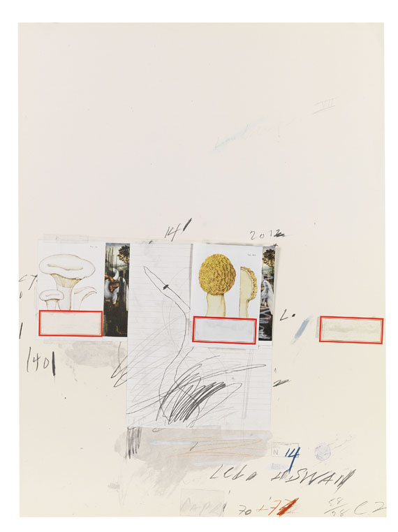 Cy Twombly - Natural History Part I, Mushrooms - 