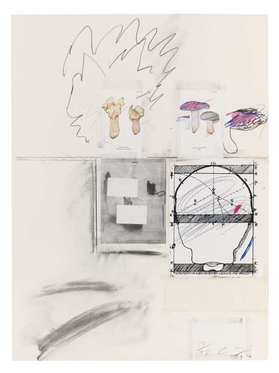 Cy Twombly - Natural History Part I, Mushrooms - 