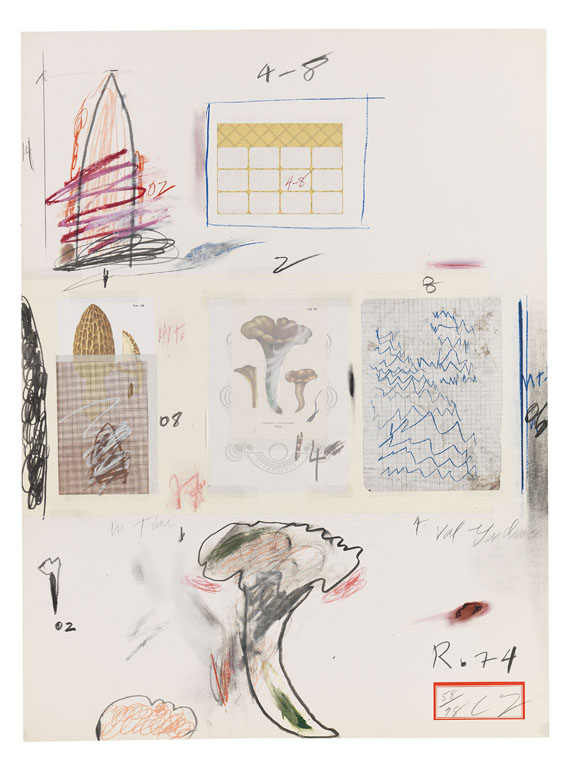 Cy Twombly - Natural History Part I, Mushrooms