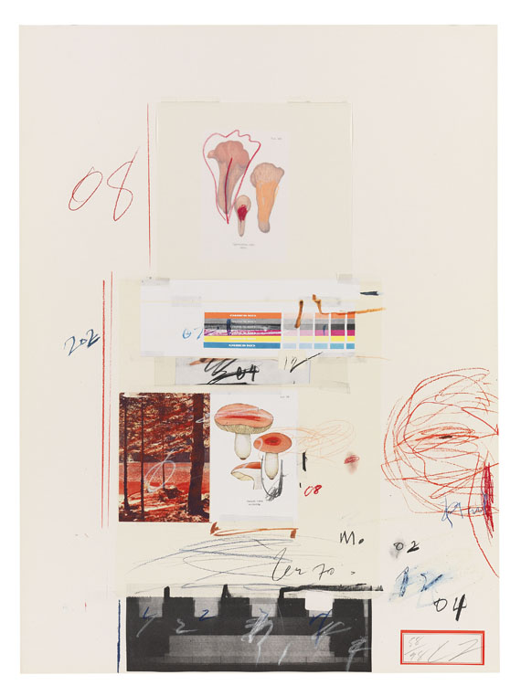 Cy Twombly - Natural History Part I, Mushrooms - 