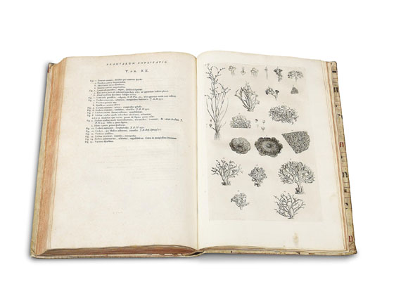 Sebastien Vaillant - Botanicon parisiense. 1727. - 