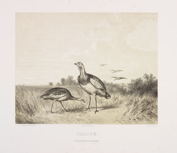 Adolf Rohlfs - 8 Blatt Federwild. Ende 19. Jh. - 