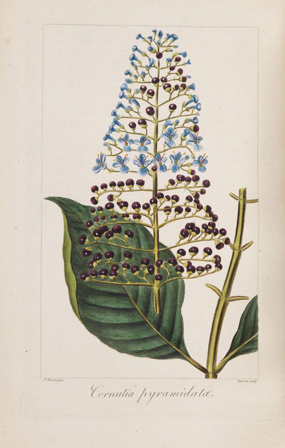 J. C. M. Mordant de Launay - Herbier général de l´amateur. 8 Bde. 1816-1827. - 