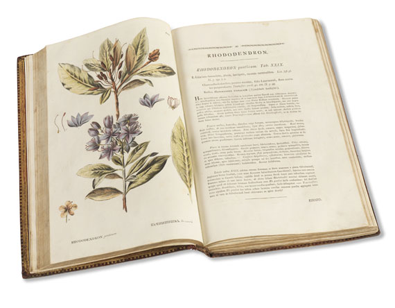 Peter Simon Pallas - Flora Rossica. 1784-88. - 