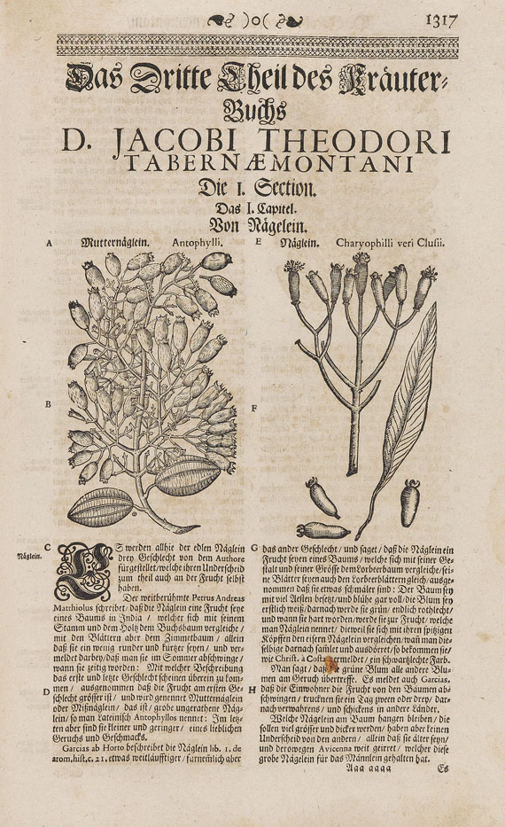 Jacobus Theodorus Tabernaemontanus - Neu vollkommen Kräuter-Buch. 1702-1731. 2 Bde.