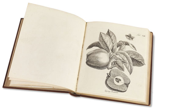 Henri Louis Duhamel du Monceau - Abhandlung von den Obstbäumen. 1775-83. 3 Bde.