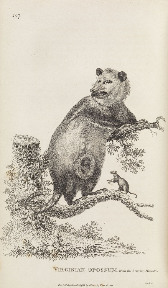George Shaw - General zoology. 1800-26. 28 Bde.- Dabei: Zoological lectures. 1809. 2 Bde. - 