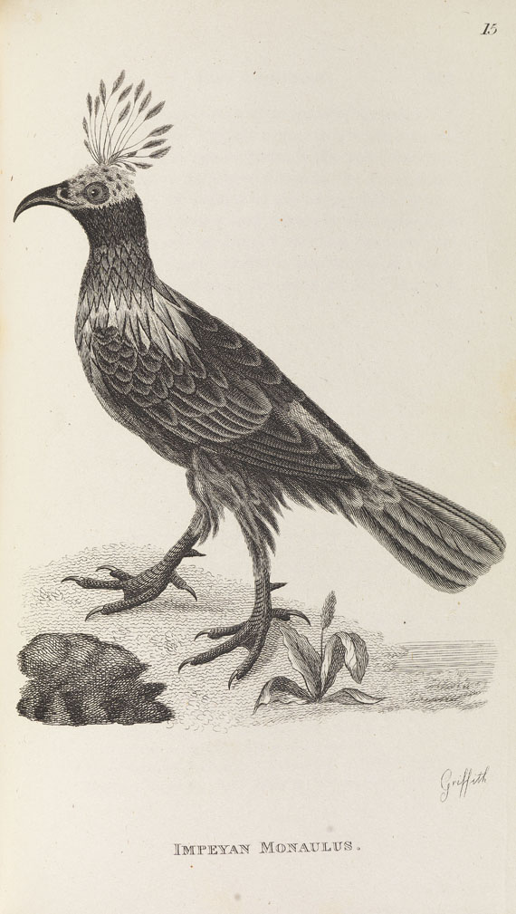George Shaw - General zoology. 1800-26. 28 Bde.- Dabei: Zoological lectures. 1809. 2 Bde. - 