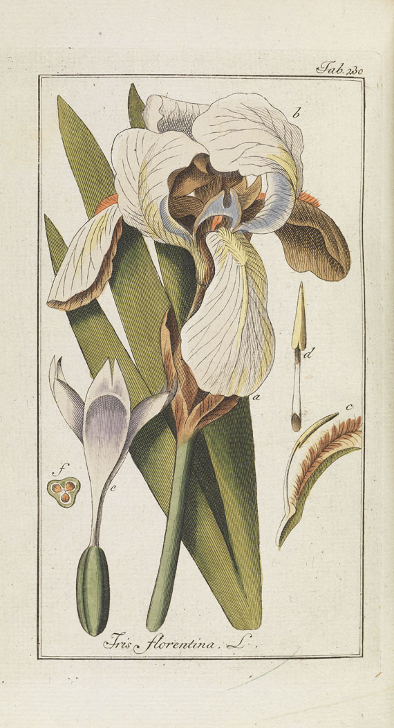 Johannes Zorn - Artseny-gewassen. 1796-1800. 6 Bde. - 