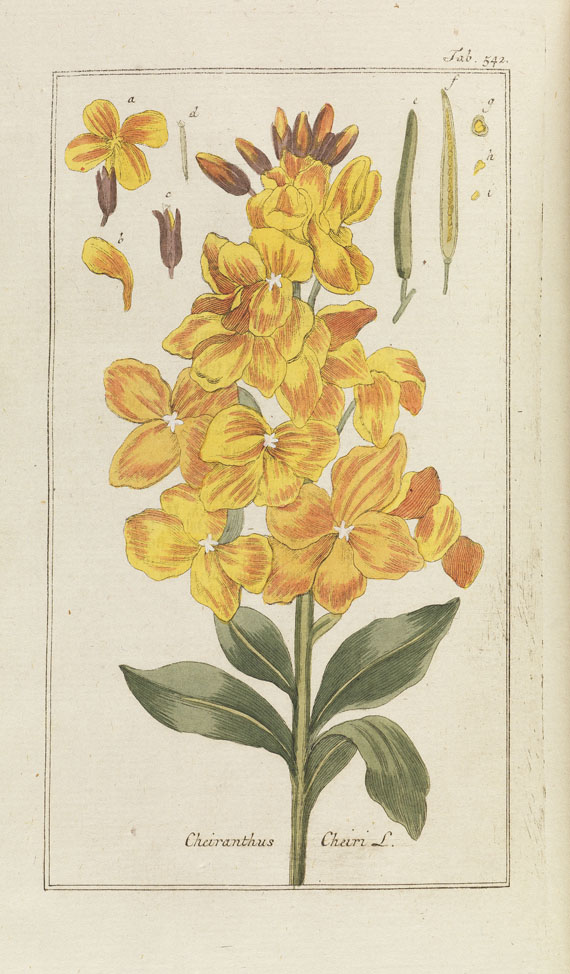 Johannes Zorn - Artseny-gewassen. 1796-1800. 6 Bde. - 
