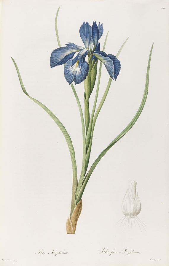 Pierre Joseph Redouté - Liliacées. 8 Bde. 1802-16.