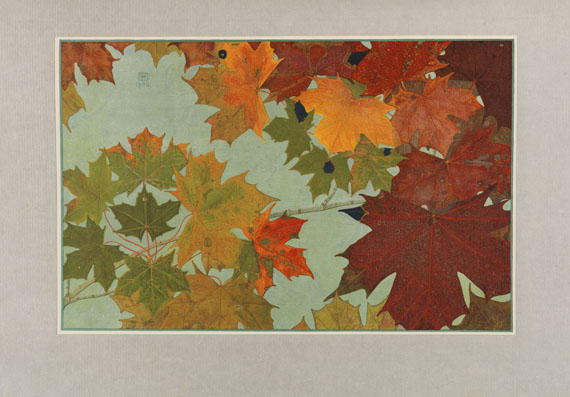 Philippe Robert - Feuilles d