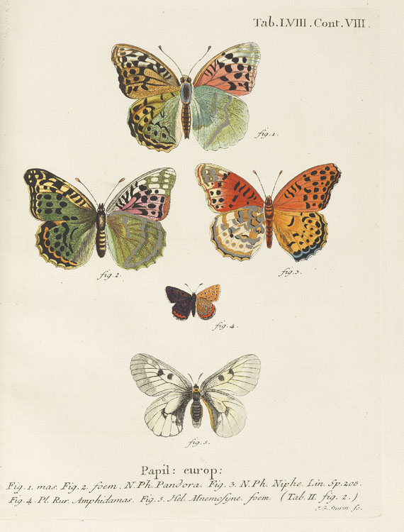 Johann Christoph Esper - Die Schmetterlinge. 5 Bde. & Suppl. in 10 Bdn. 1829ff.