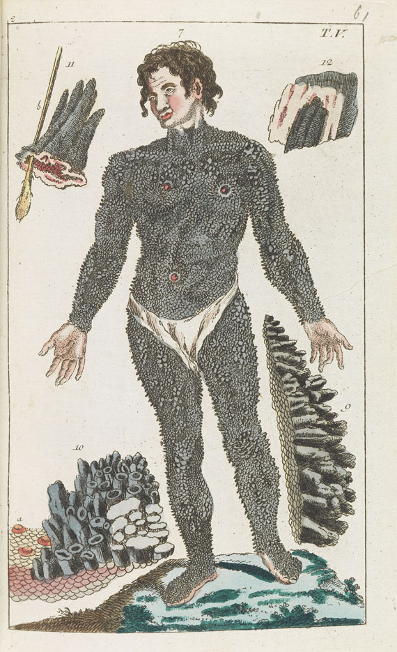 Gottlieb Tobias Wilhelm - Naturgeschichte d. Menschen, Tafelband. 1804ff.