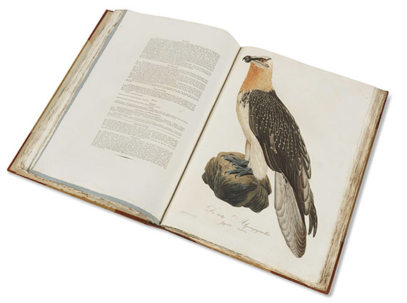 Johann Conrad Susemihl - Teutsche Ornithologie. 1800-1817. 2 Bde.. - 