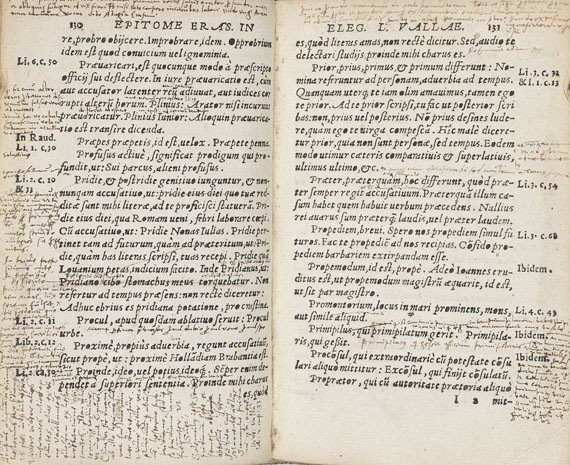 Desiderius Erasmus von Rotterdam - In Laurentii Vallae elegantiarum libros epitome. 1550. - 