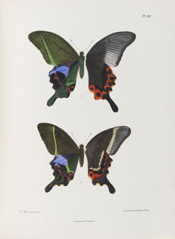 Frederic Moore - Lepidoptera Indica. 1890-1913. 10 Bde.. - 