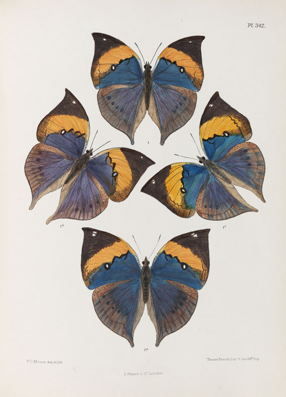 Frederic Moore - Lepidoptera Indica. 1890-1913. 10 Bde.. - 