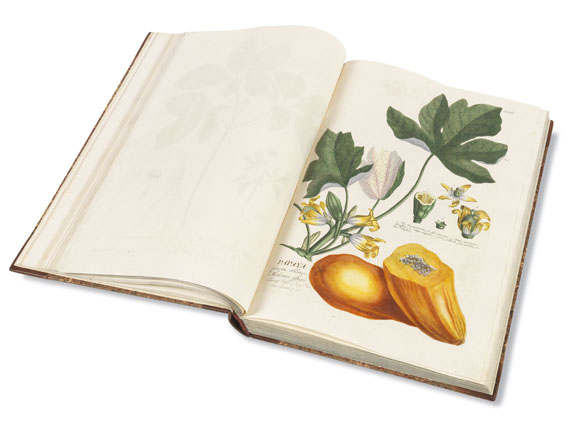 Christoph Jakob Trew - Plantae selectae. 1750..