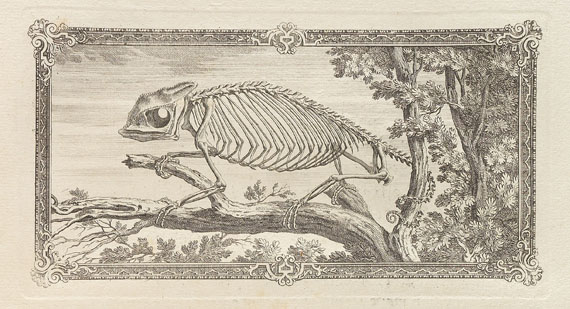 William Cheselden - Osteographia or the anatomy of the bones. 1733. - 