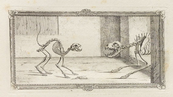 William Cheselden - Osteographia or the anatomy of the bones. 1733. - 