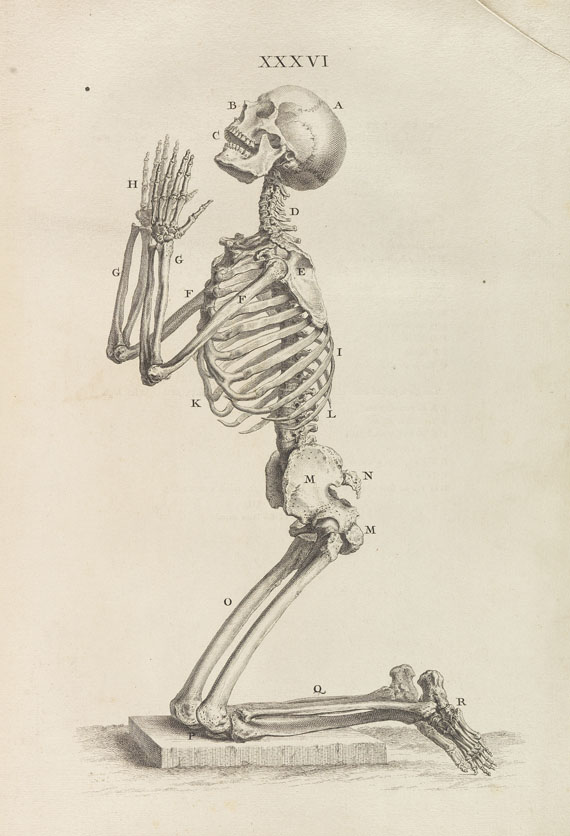 William Cheselden - Osteographia or the anatomy of the bones. 1733.