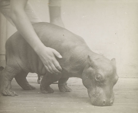  Reisefotografie - Sammlung Glasdias, -positive und -negative, 1930/50. - 