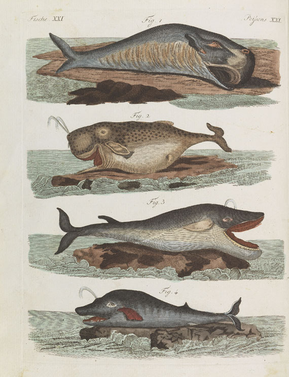 Friedrich Johann Justin Bertuch - Bilderbuch zum Nutzen und Vergnügen. 1801-1805. 10 Bde. in 9 Bdn. - 