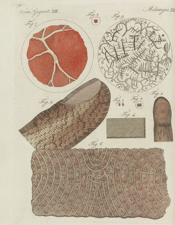 Friedrich Johann Justin Bertuch - Bilderbuch zum Nutzen und Vergnügen. 1801-1805. 10 Bde. in 9 Bdn. - 