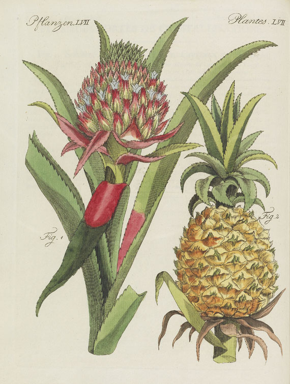 Friedrich Johann Justin Bertuch - Bilderbuch zum Nutzen und Vergnügen. 1801-1805. 10 Bde. in 9 Bdn. - 