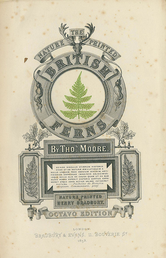 Thomas Moore - The Nature Printed British Ferns. 2 Bde. 1859