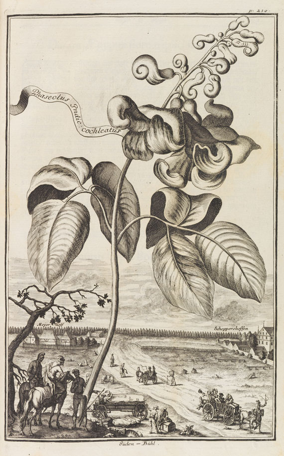 Johann Christoph Volckamer - Nürnbergische Hesperides. 1 Tl. 1708 - 