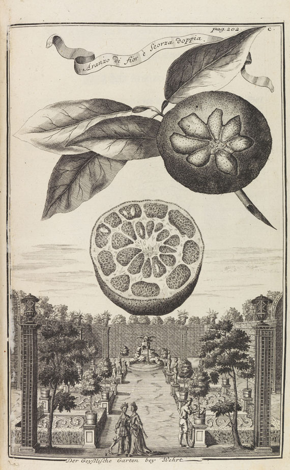 Johann Christoph Volckamer - Nürnbergische Hesperides. 1 Tl. 1708 - 