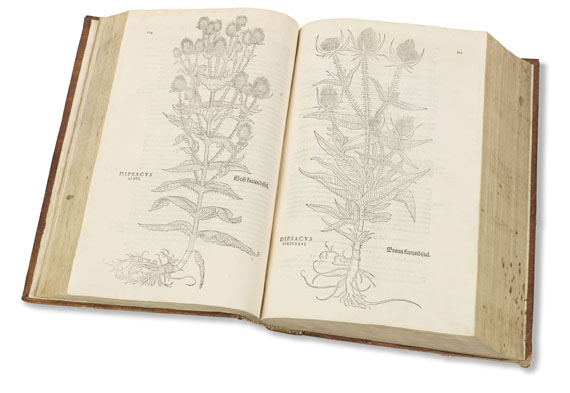 Leonhart Fuchs - De historia stirpium. 1542