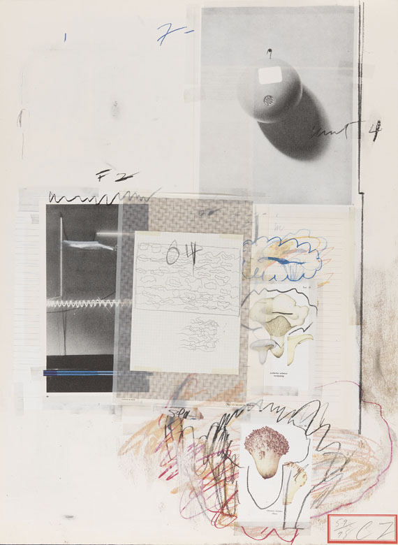 Cy Twombly - Natural History Part I, Mushrooms - 