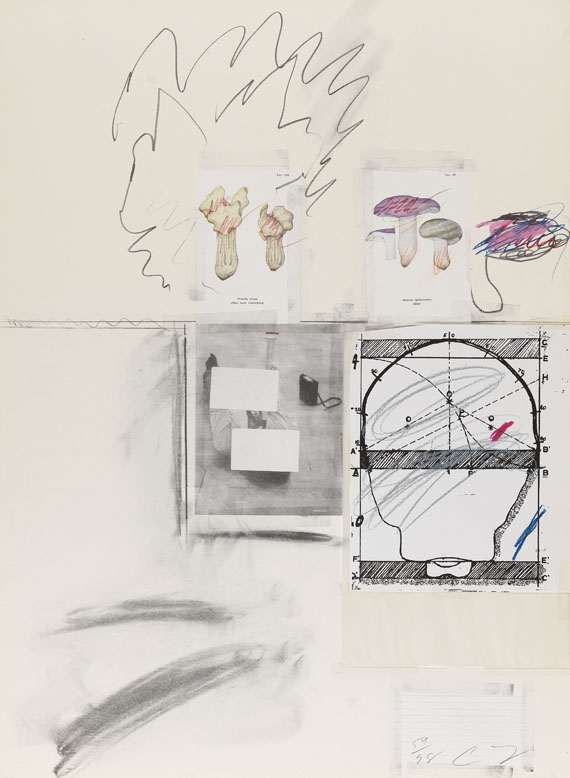 Cy Twombly - Natural History Part I, Mushrooms - 