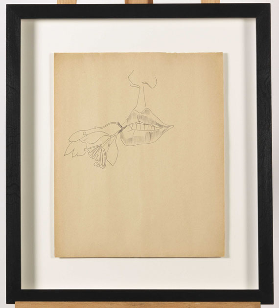 Andy Warhol - Nose and Mouth - Frame image